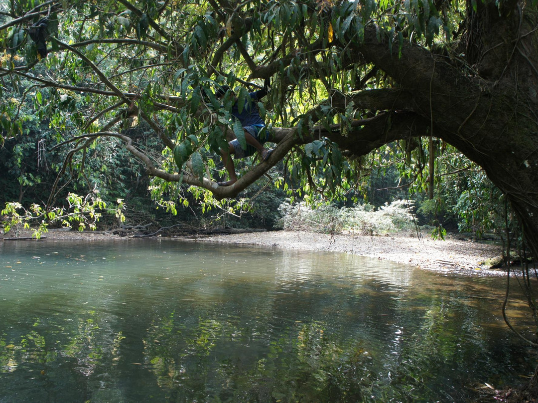 Peraya Homestay - Private Tours-古晋必去景点