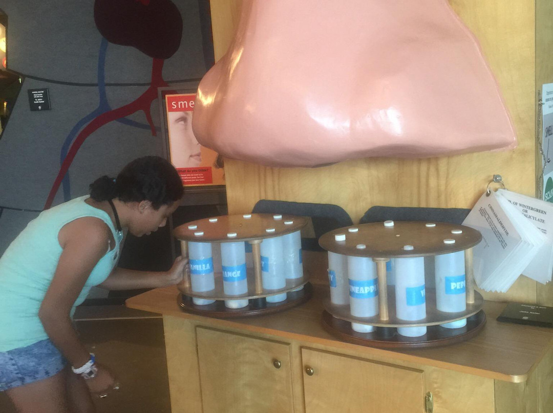 Discovery Center Of Springfield-斯普林菲尔德必去景点