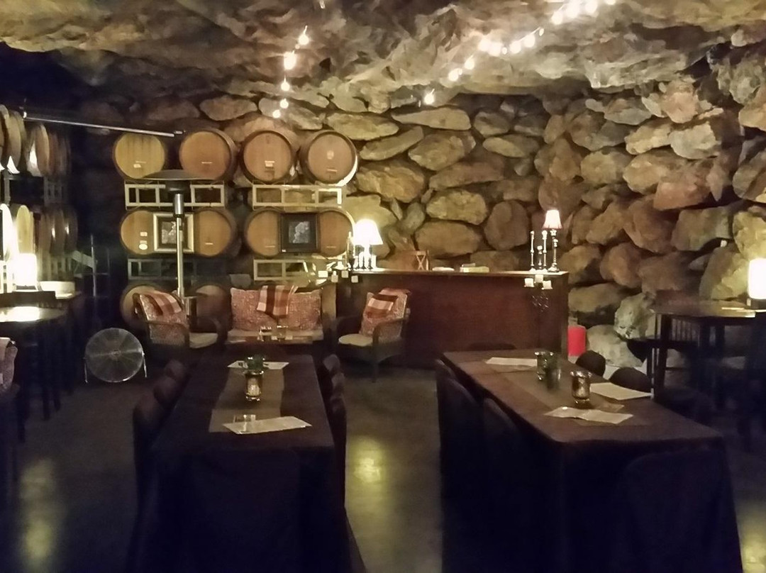Vina Castellano Winery景点图片