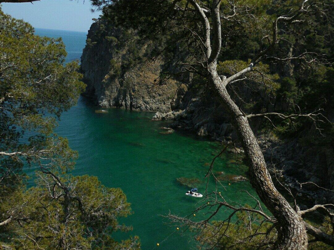 Playas de Calella景点图片