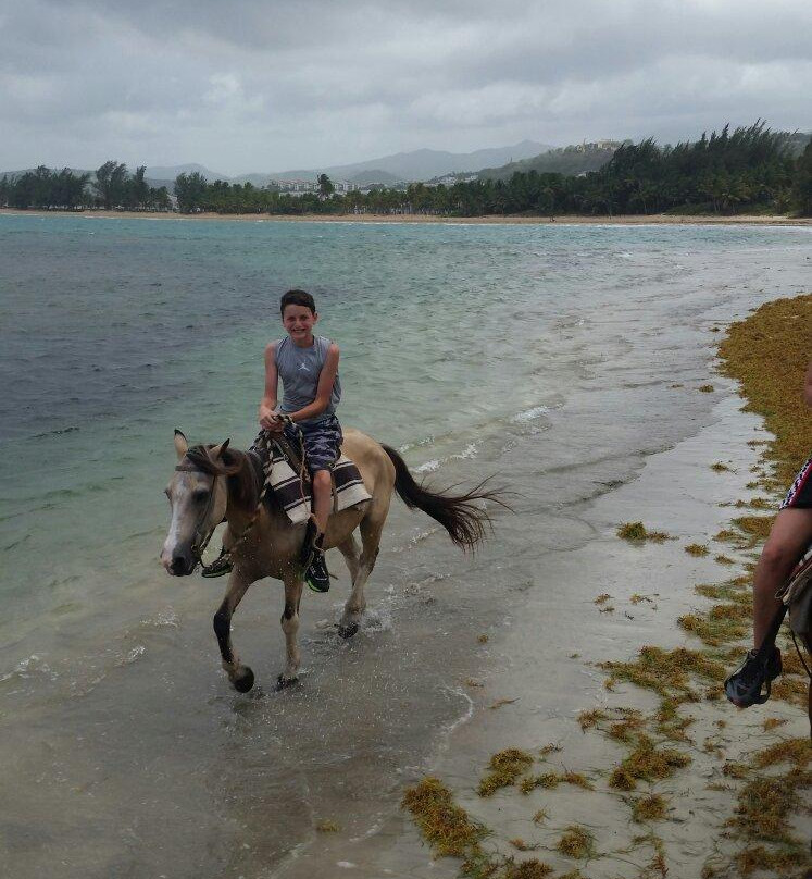 Catch a Dream Ranch-Rio Grande必去景点