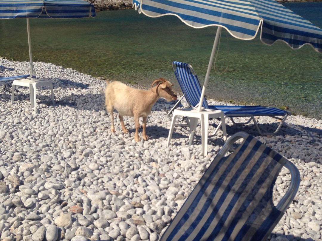 Marathounda Beach-Symi必去景点