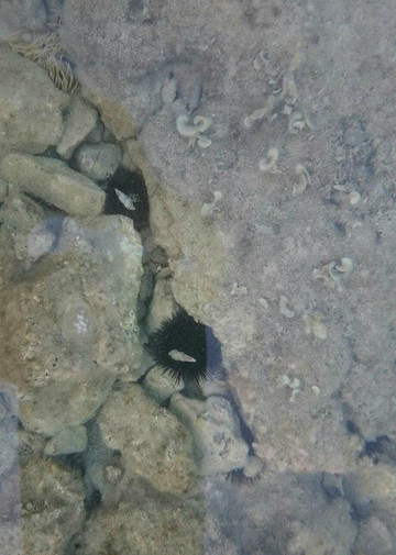 Hotel & Camp Korinjak主图