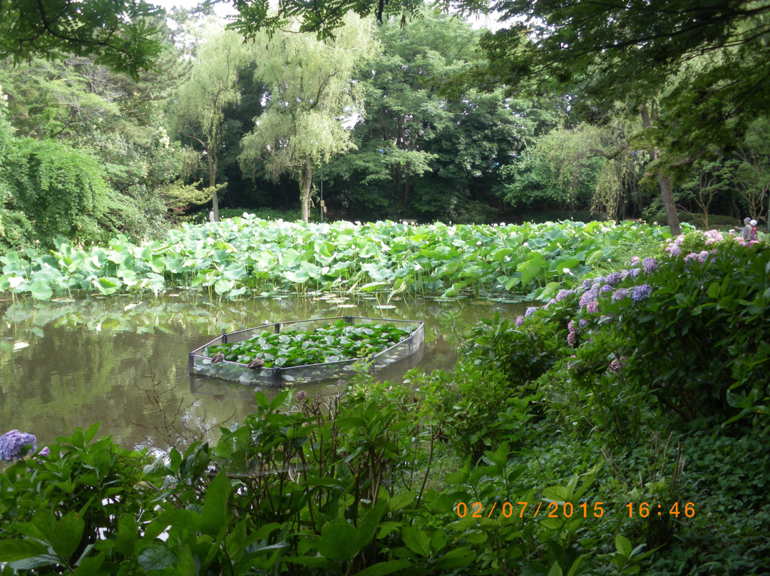 Fujisaki Shinrin Park-习志野市必去景点
