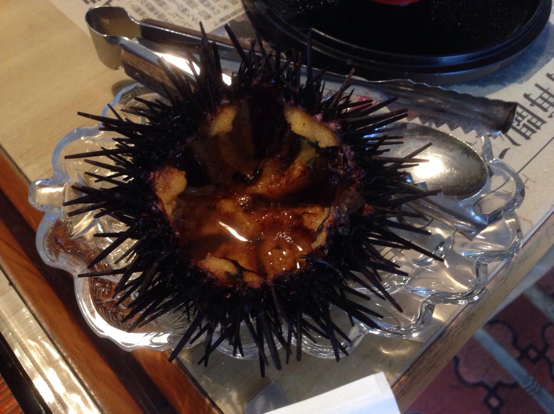 Kitayamazaki Shirahanasyakunagesou主图