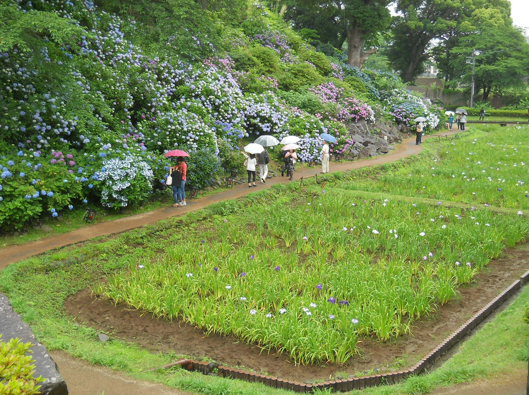 小田原市旅游攻略图片