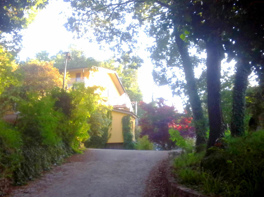 Hotel Ristorante Il Boschetto
