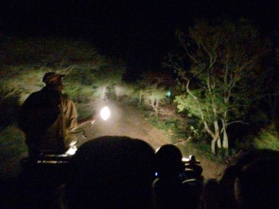 Kruger Sky Shuttle Service-赫拉斯科普必去景点