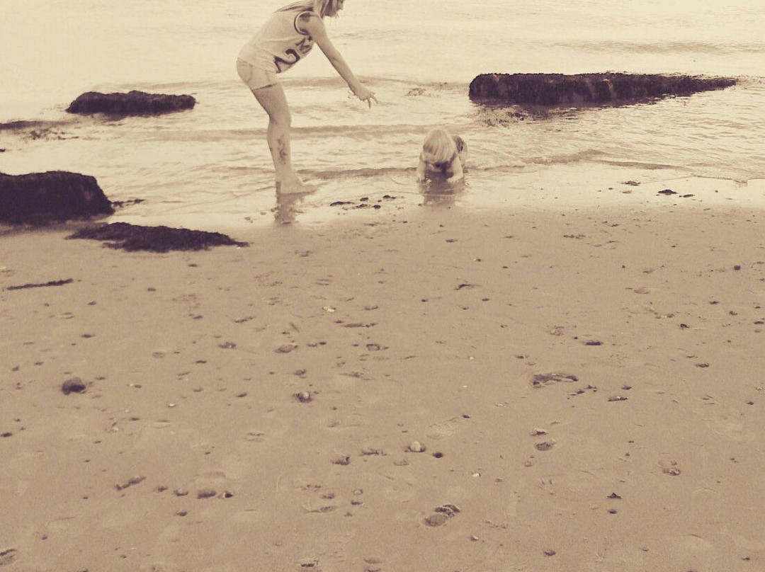 St. Osyth Beach景点图片
