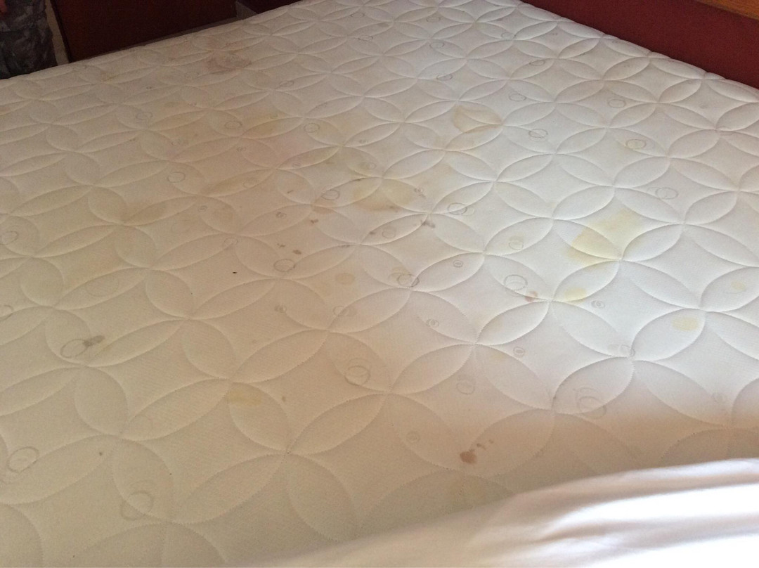 Hotel Barranquilla主图