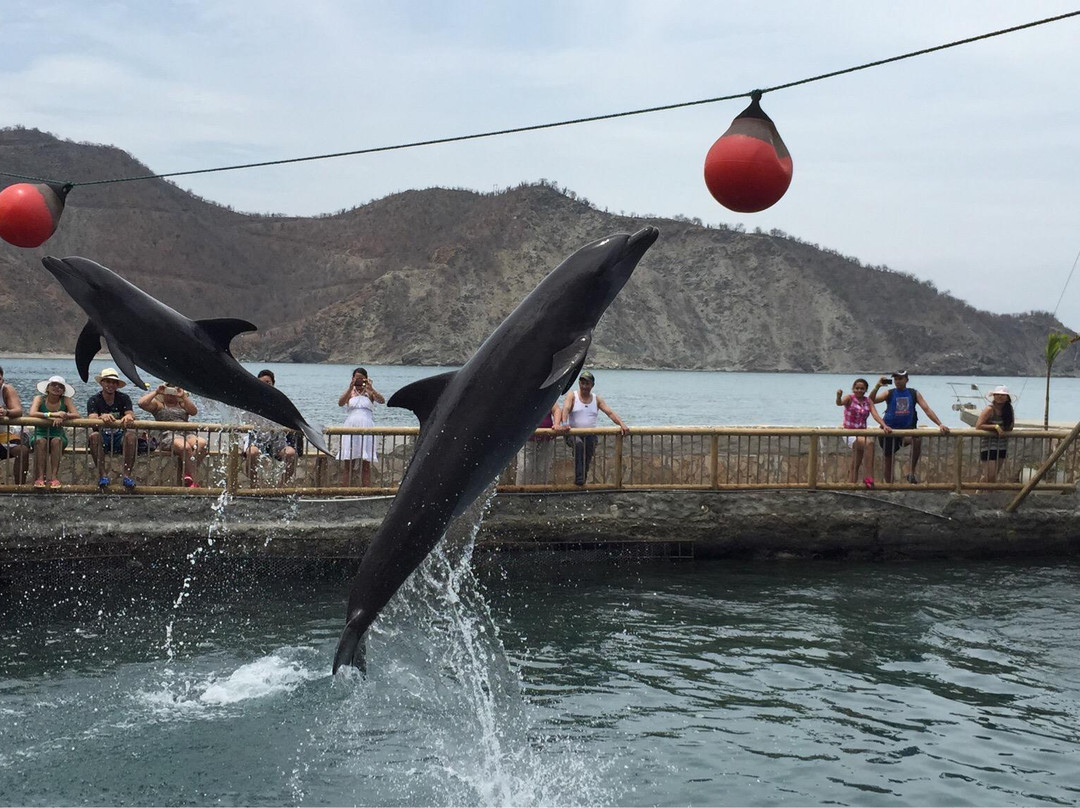 Rodadero Sea Aquarium and Museum-圣玛尔塔必去景点