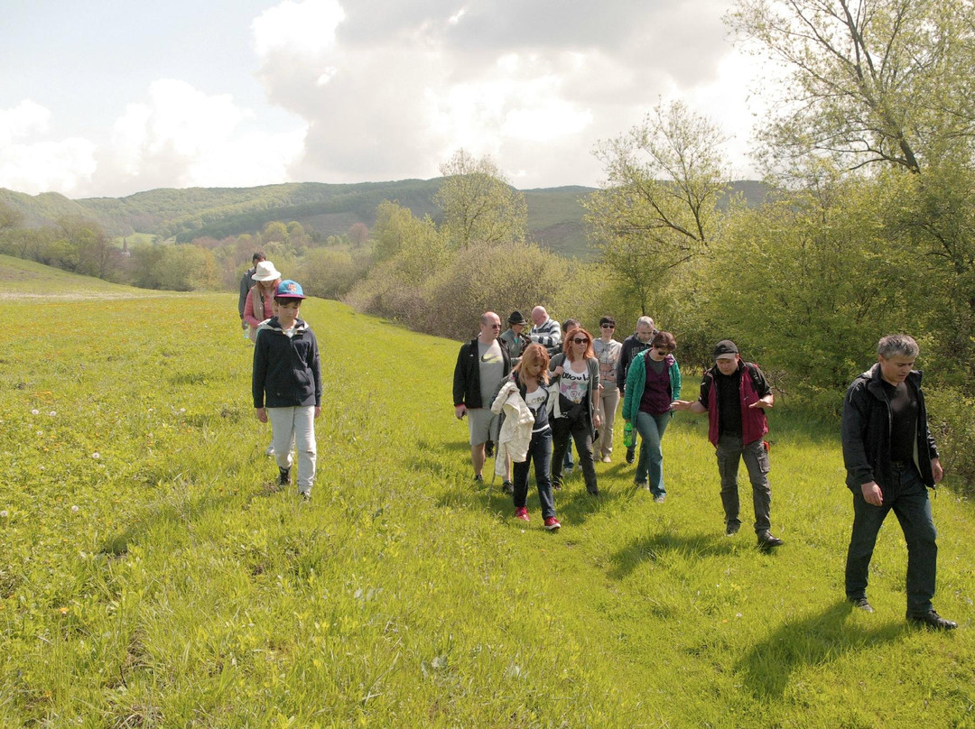 Your Guide In Transylvania - Premium Private Tours景点图片