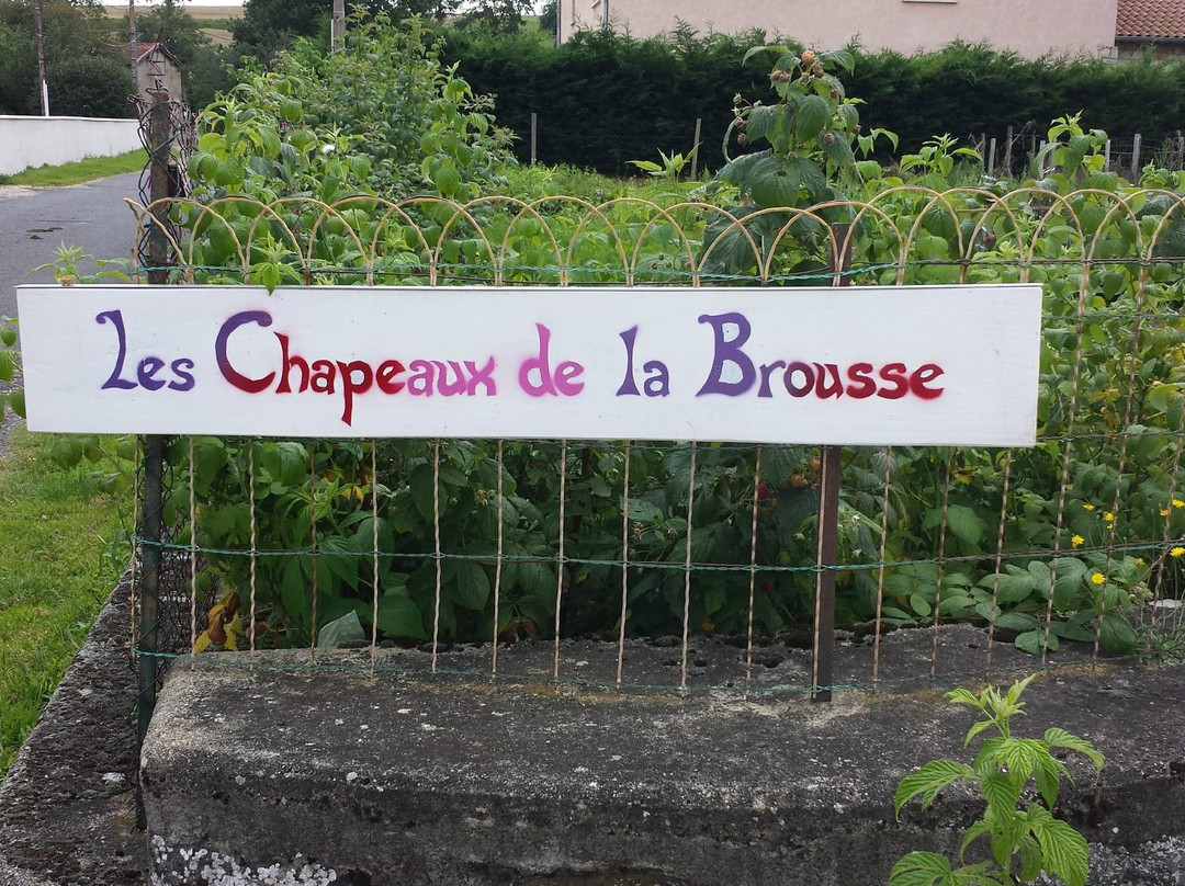 Les Chapeaux de La Brousse景点图片