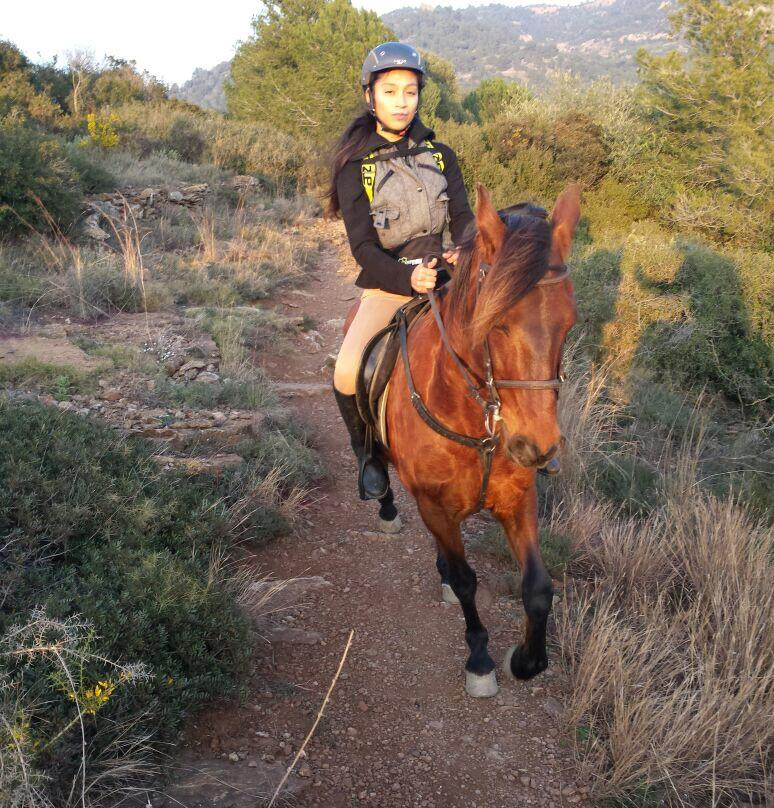 Cabalgando Hacia lo Salvaje-巴塞罗那必去景点