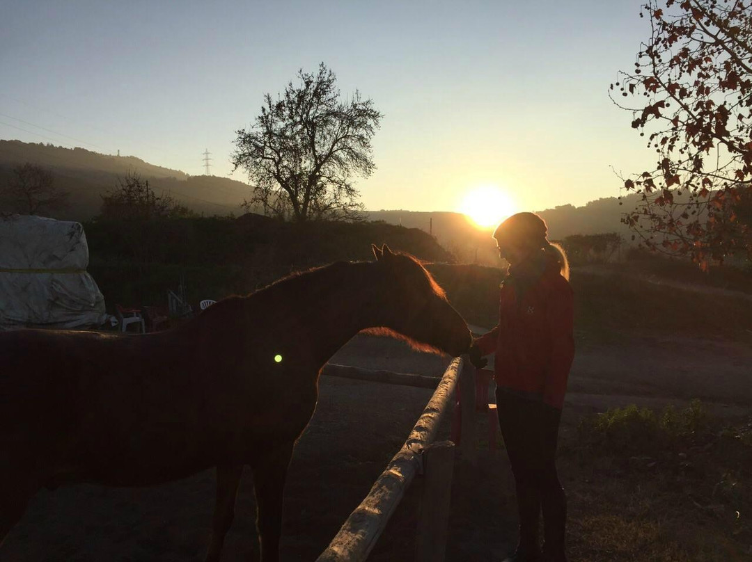 Cabalgando Hacia lo Salvaje-巴塞罗那必去景点