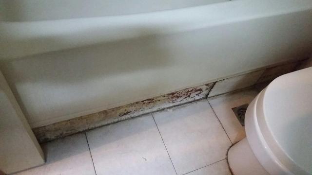 蚌埠森林海岸连锁酒店（火车站珠城宾馆店）-客卧