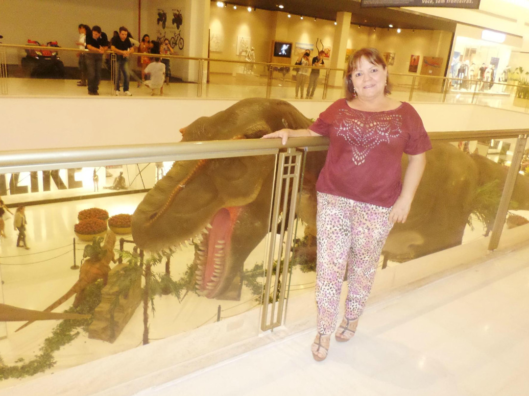 Shopping Iguatemi-普雷图河畔圣若泽必去景点