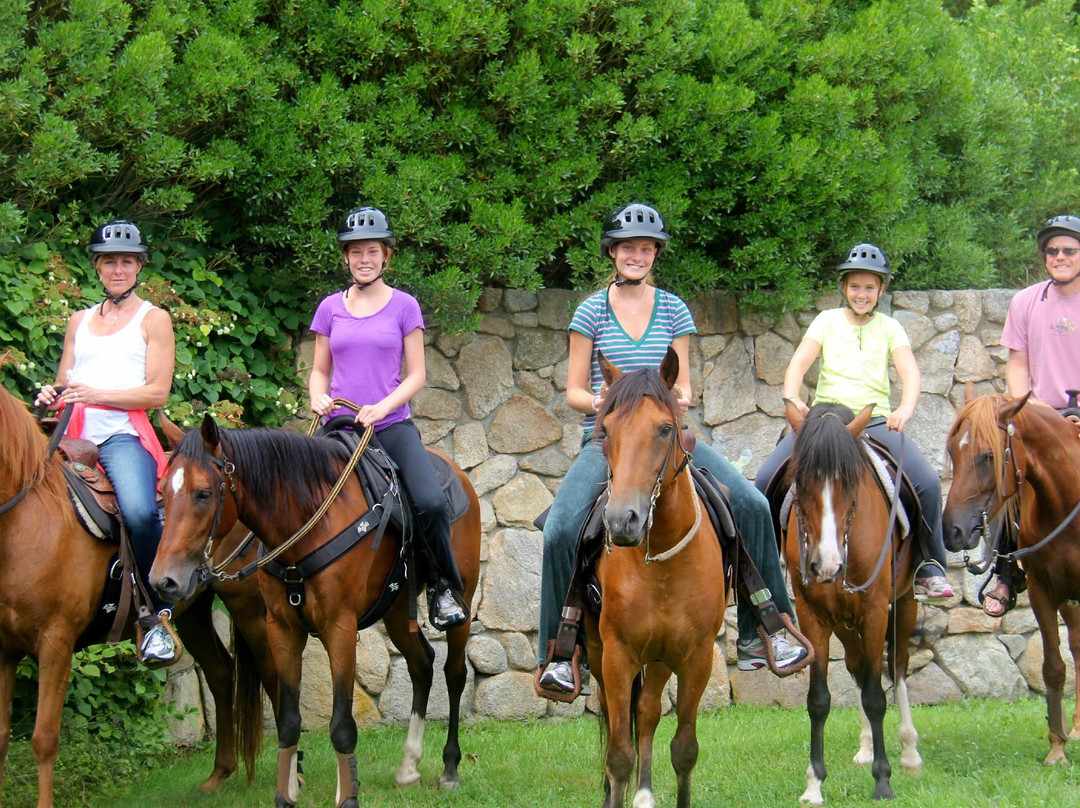 Esperanza Riding Company景点图片