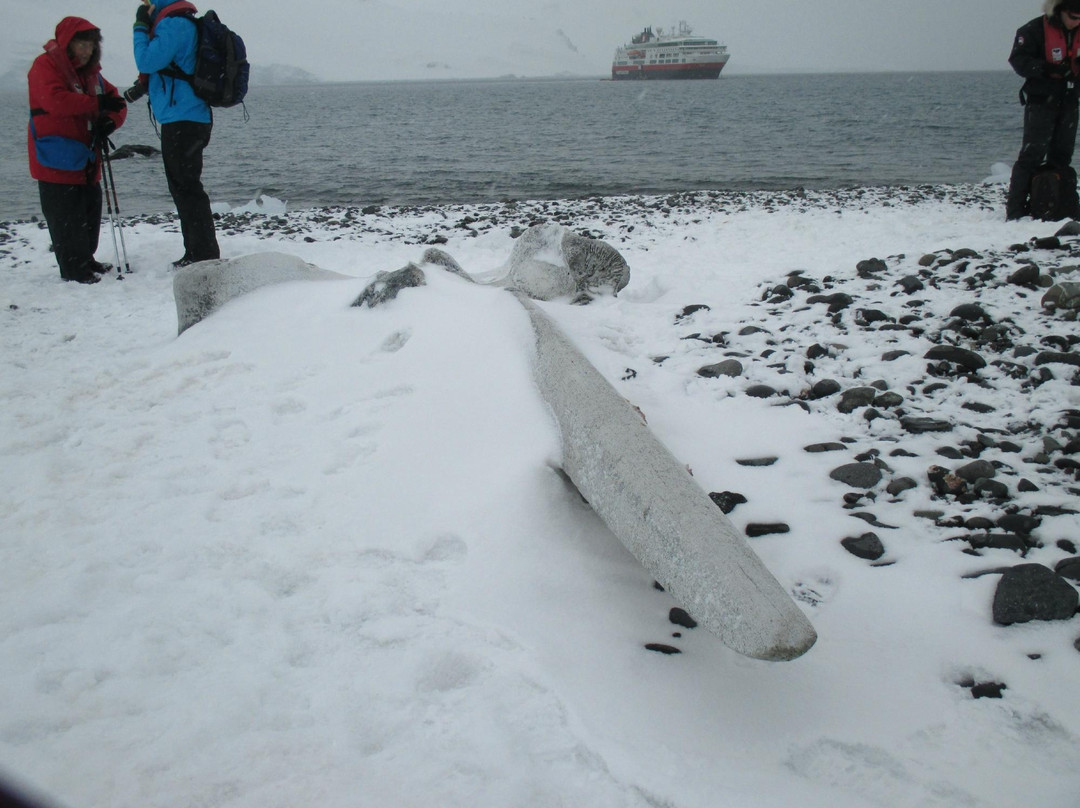 Arctowski Polish Antarctic Station-King George Island必去景点