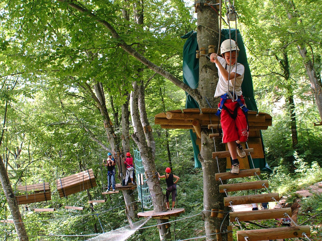 Jura Monkey Forest景点图片