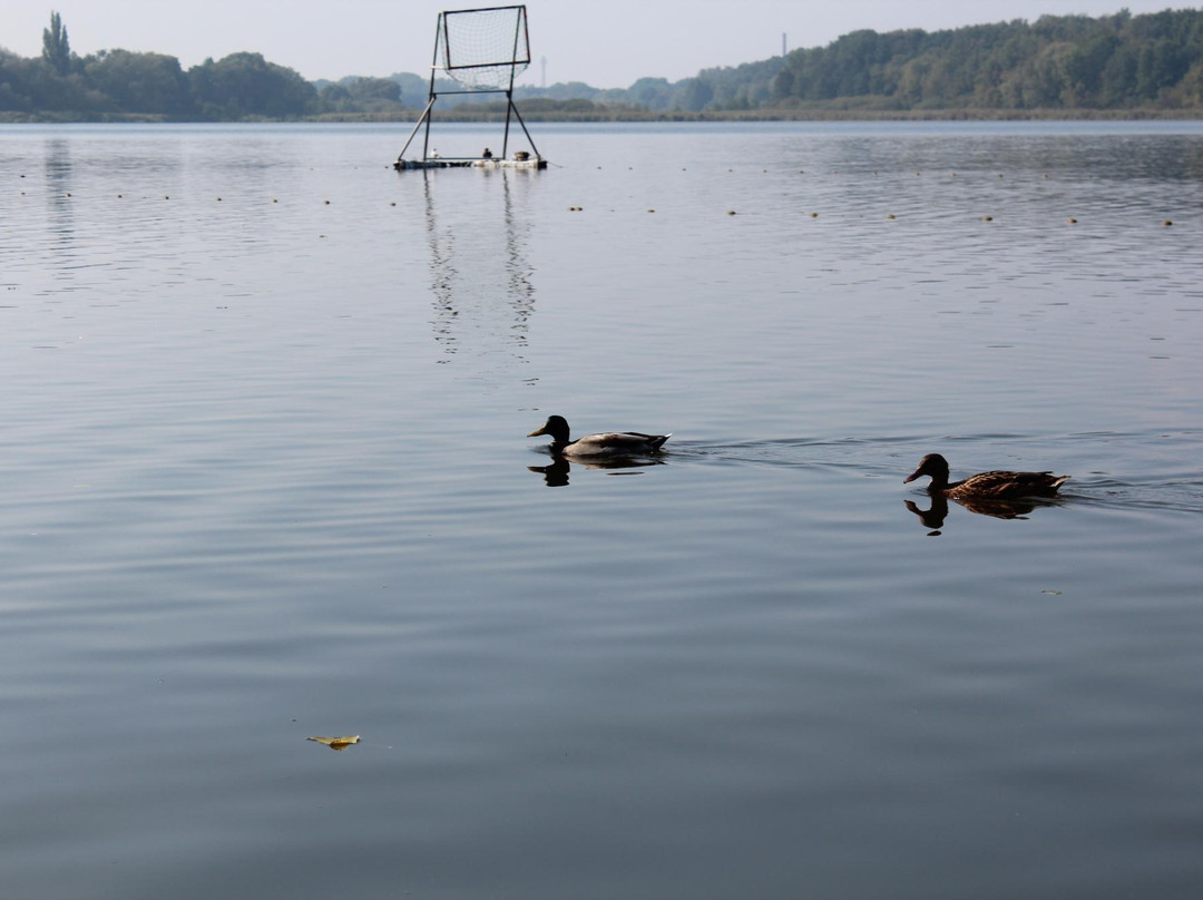 Swarzędzkie Lake景点图片