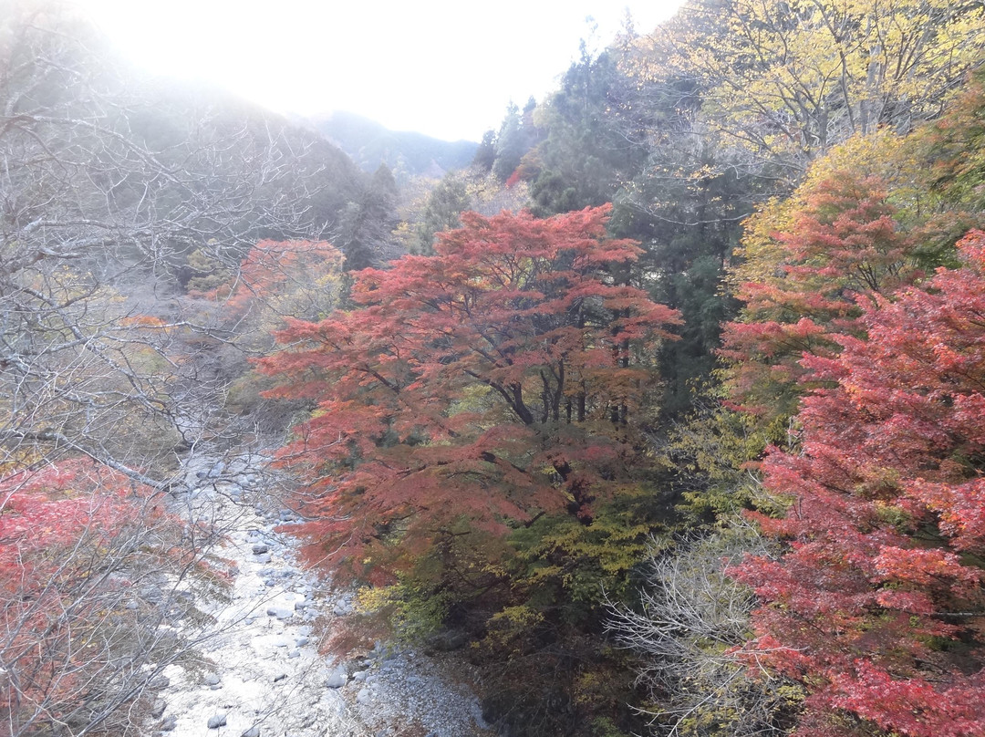 Oashi Canyon-鹿沼市必去景点