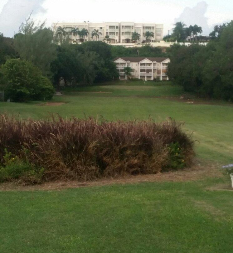 Rockley Golf Club-布里奇顿必去景点