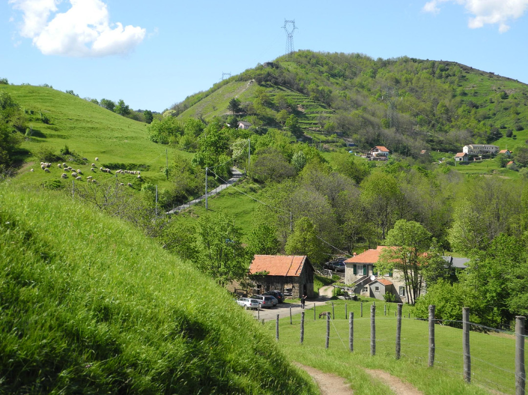 Mele旅游景点-Nonna Carli - Azienda Agricola del Passo del Turchino