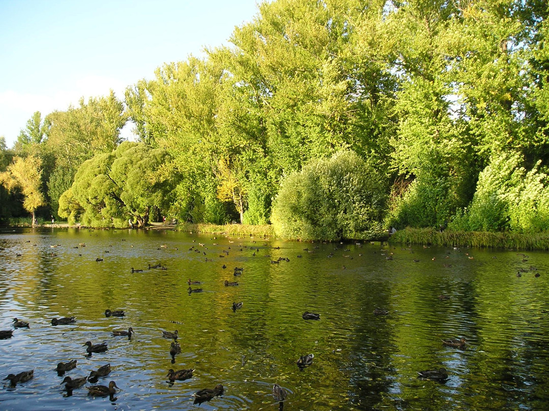 Arboretum Park Exhibition景点图片