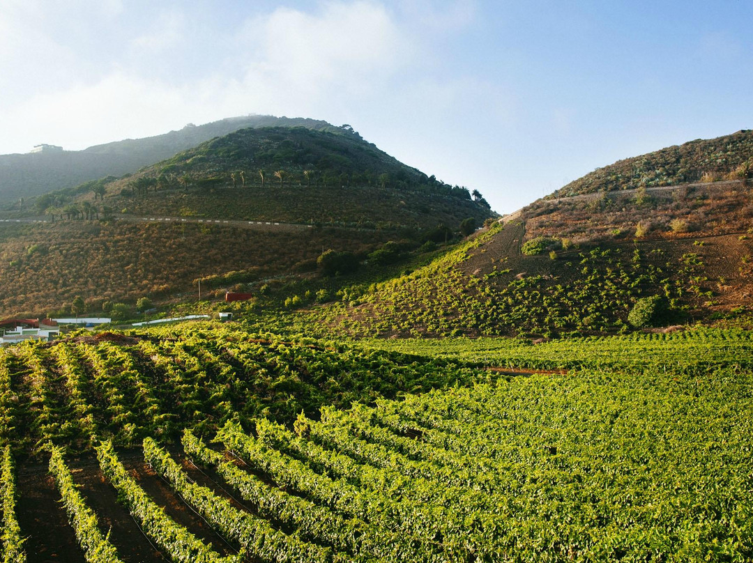 Handmade Tours.-大加那利岛拉斯帕尔马斯必去景点