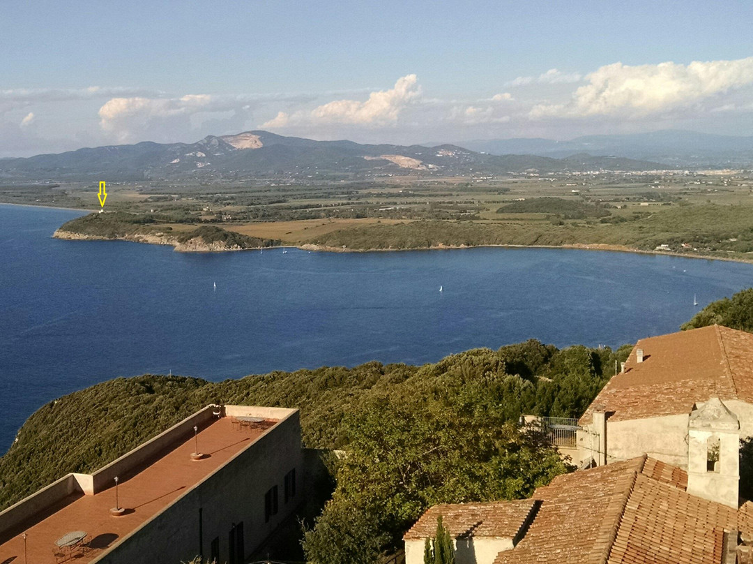Tuscan Vineyard Tours景点图片