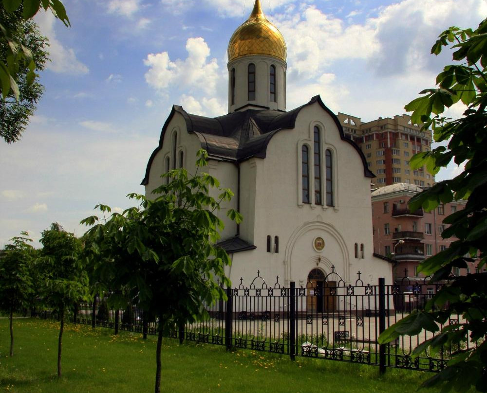 Temple of St. Vladimir景点图片