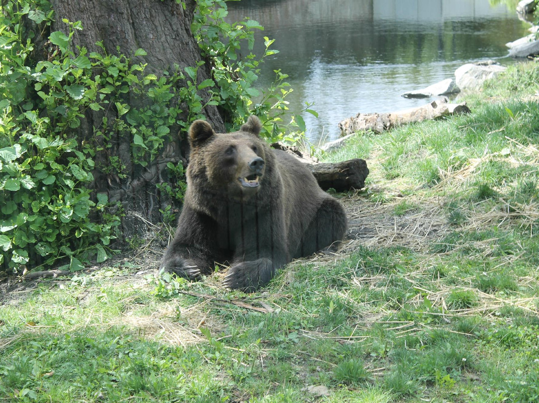 Zoo Hoyerswerda