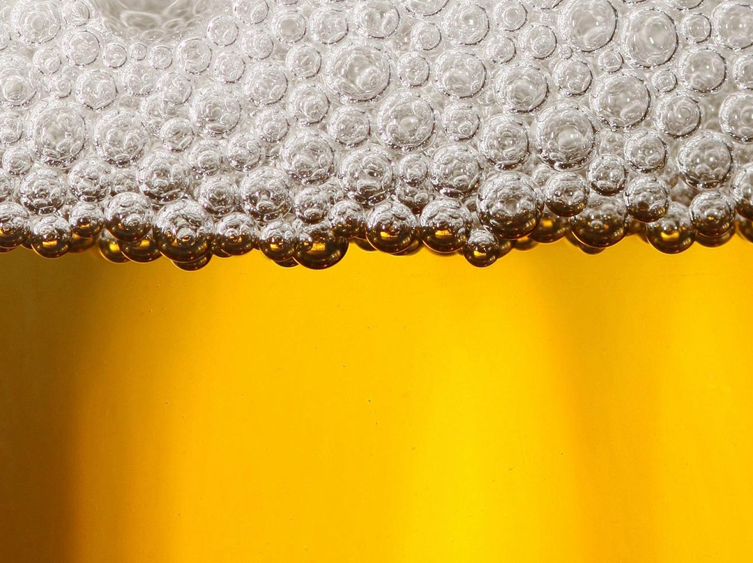 Monahan & Fitzgerald-Bayside必去景点