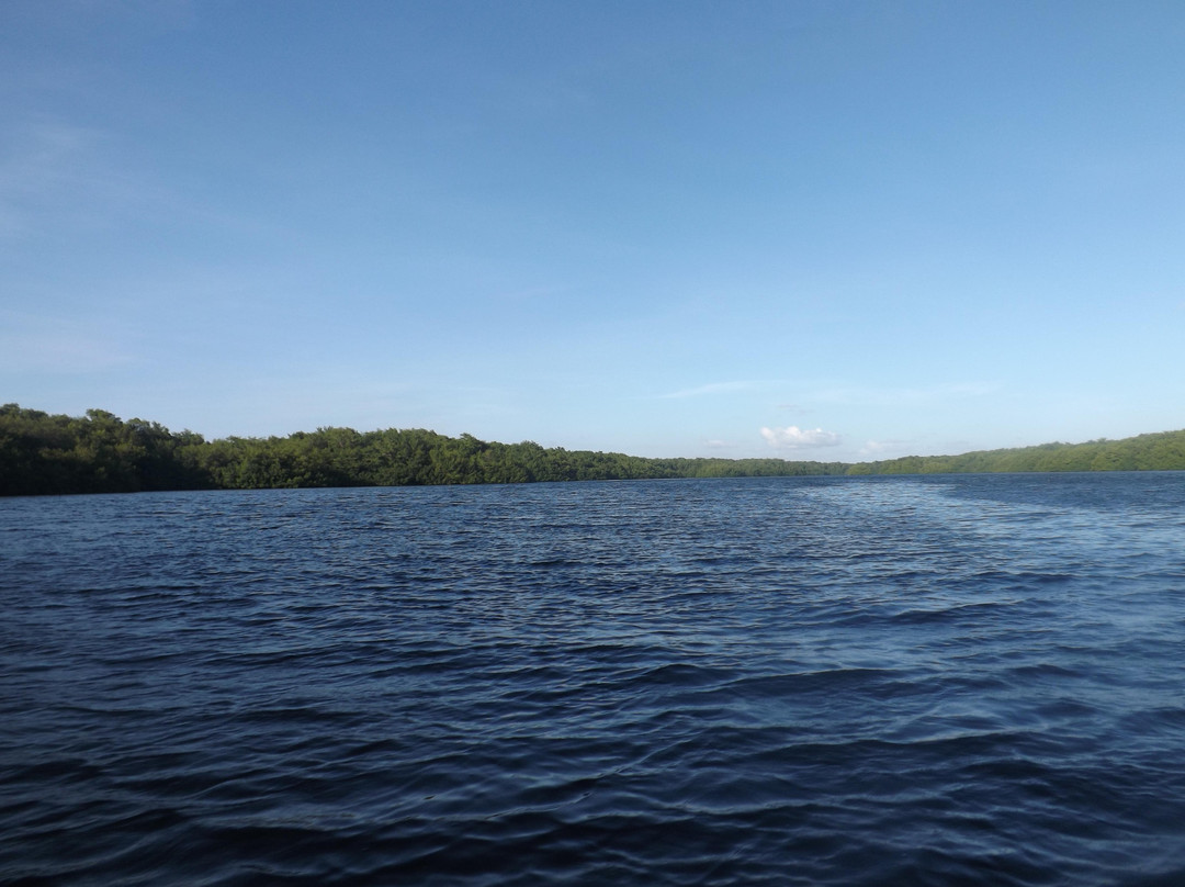 Caroni Bird Sanctuary-Caroni必去景点