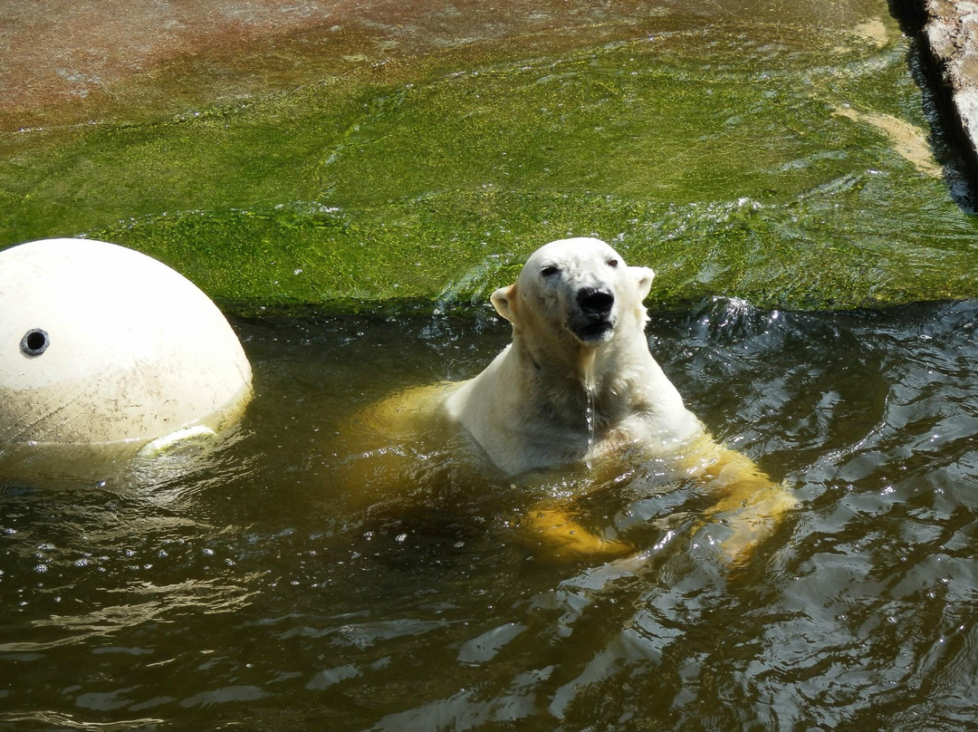 Rostock Zoo景点图片