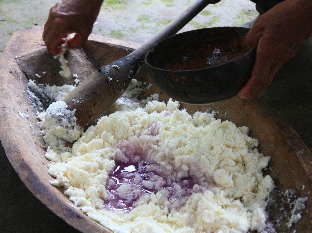Gary's Tours-Tena必去景点
