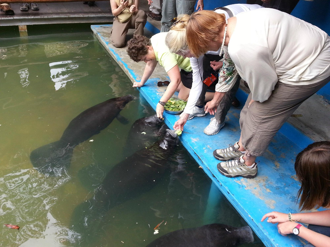 Amazon Rescue Center景点图片
