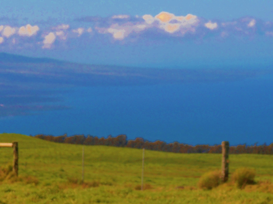 Na'alapa Stables - Kahua Ranch-卡慕也拉必去景点