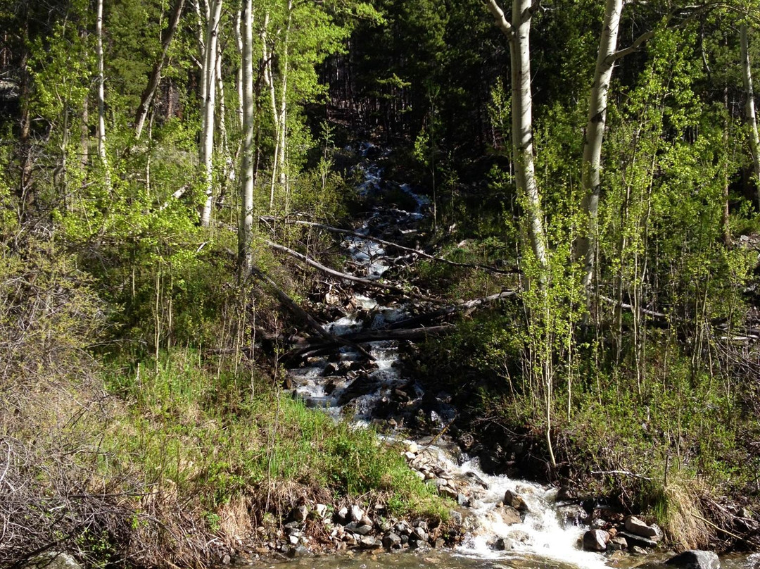 Lake Fork Trail-雷德洛治必去景点