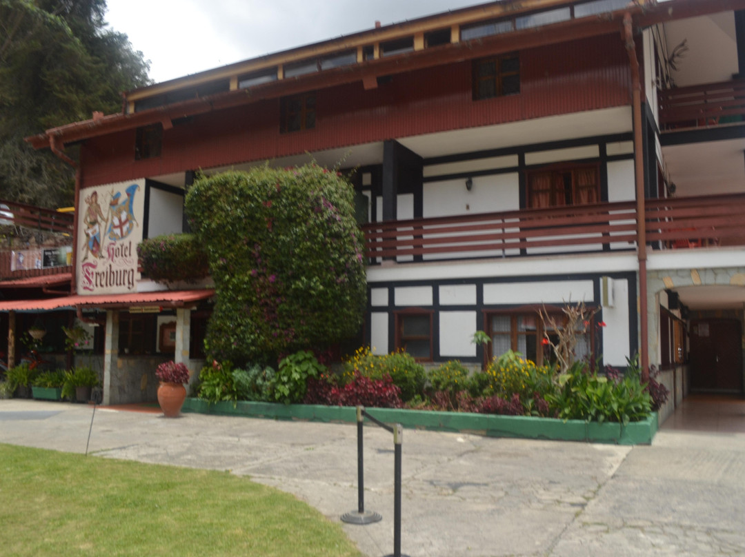 Hotel Freiburg