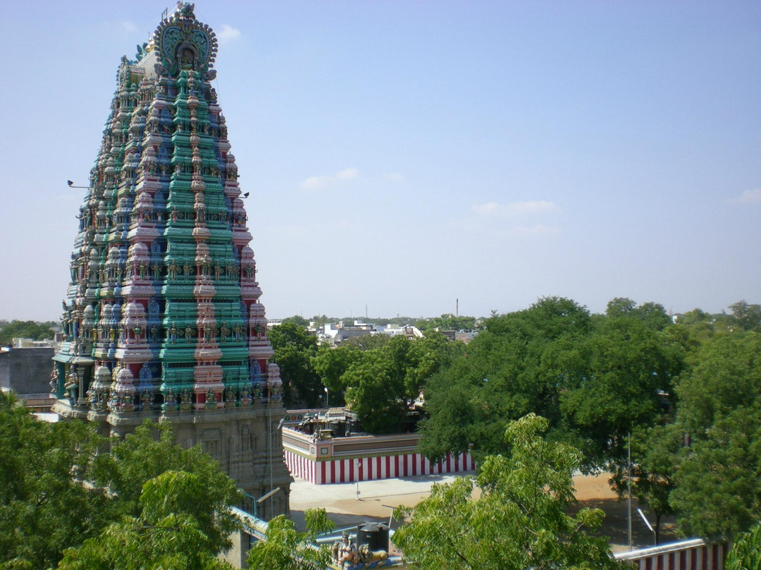 Sri Badrakaliamman Temple景点图片