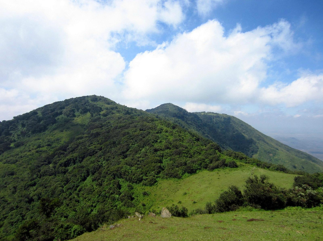 Ngong Hills景点图片