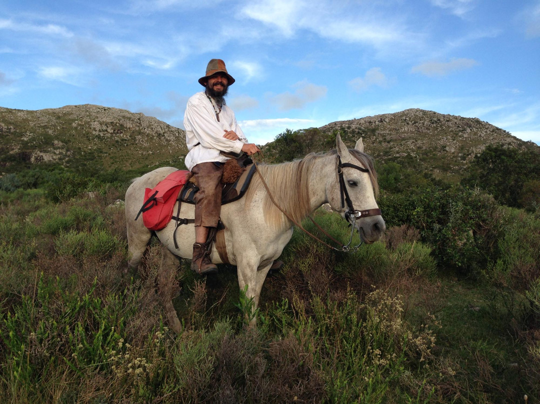 Caballos de Luz
