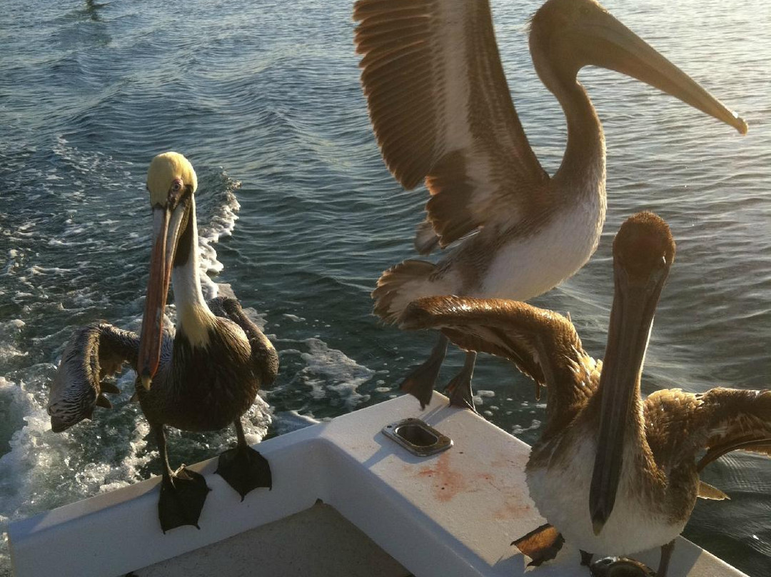 Captain Jack's Fishing Charters-North Palm Beach必去景点