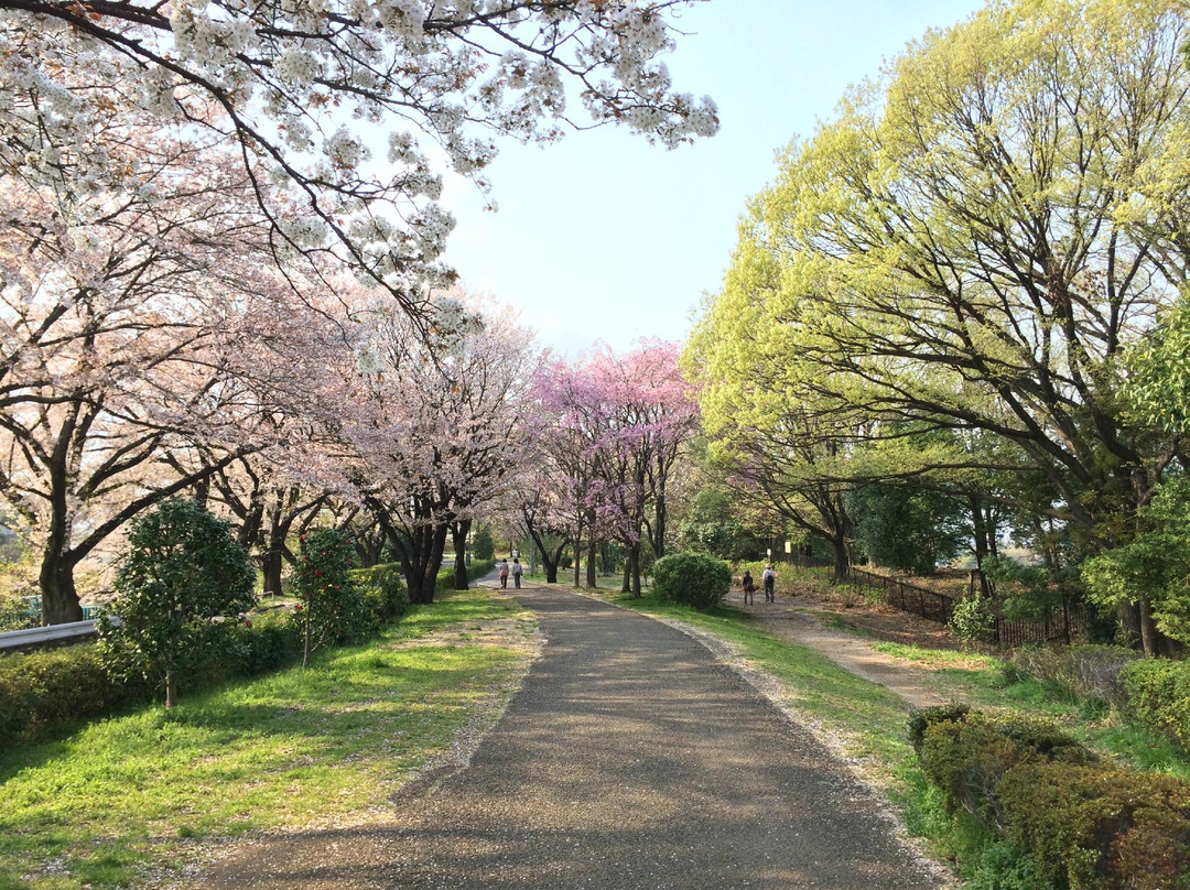 町田市旅游景点-One Street