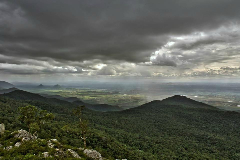 Biligiri Ranganath Hills景点图片