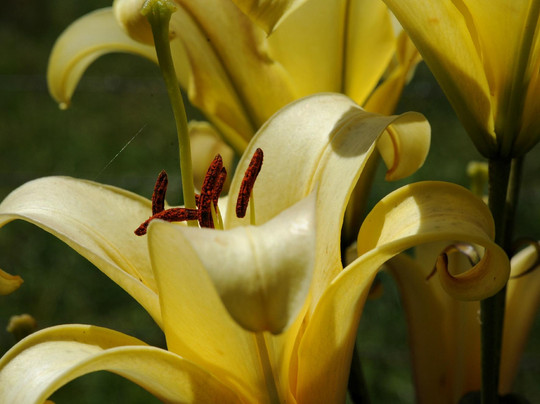 Allendale Gardens-Edith Creek必去景点