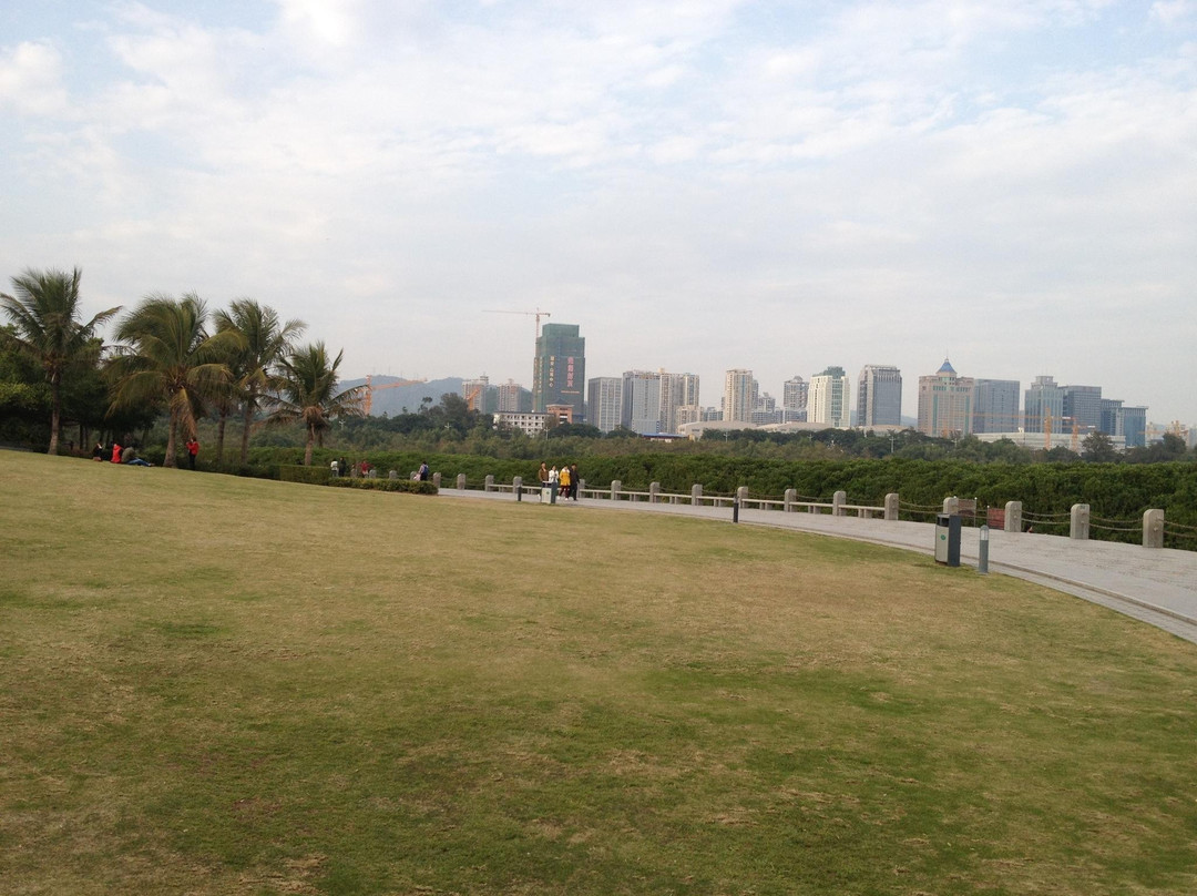 福田红树林自然保护区-深圳市必去景点