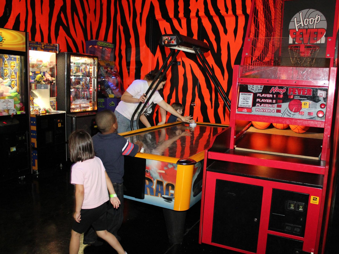 Jungle Zone-Tavares必去景点